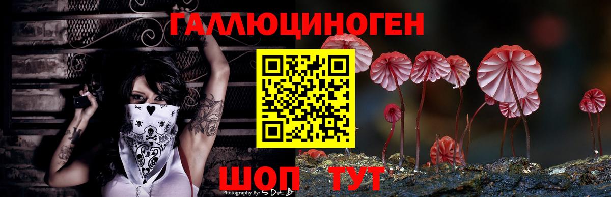 Псилоцибиновые грибы Cubensis Усинск